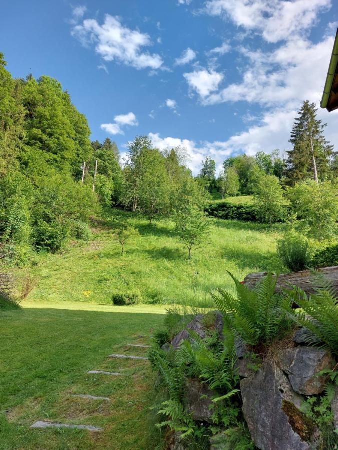 Chalet Peter Zell am See Exterior photo